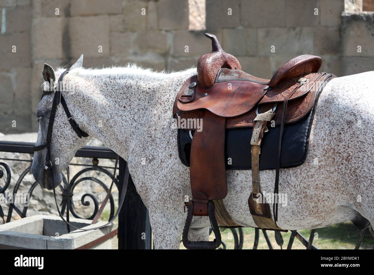 21.07.2018, Mzcheta, Mzcheta-Mtianeti, Georgia - il cavallo saddled aspetta il suo cavaliere su una strada. 00S180721D080CAROEX.JPG [VERSIONE DEL MODELLO: NON APPLI Foto Stock