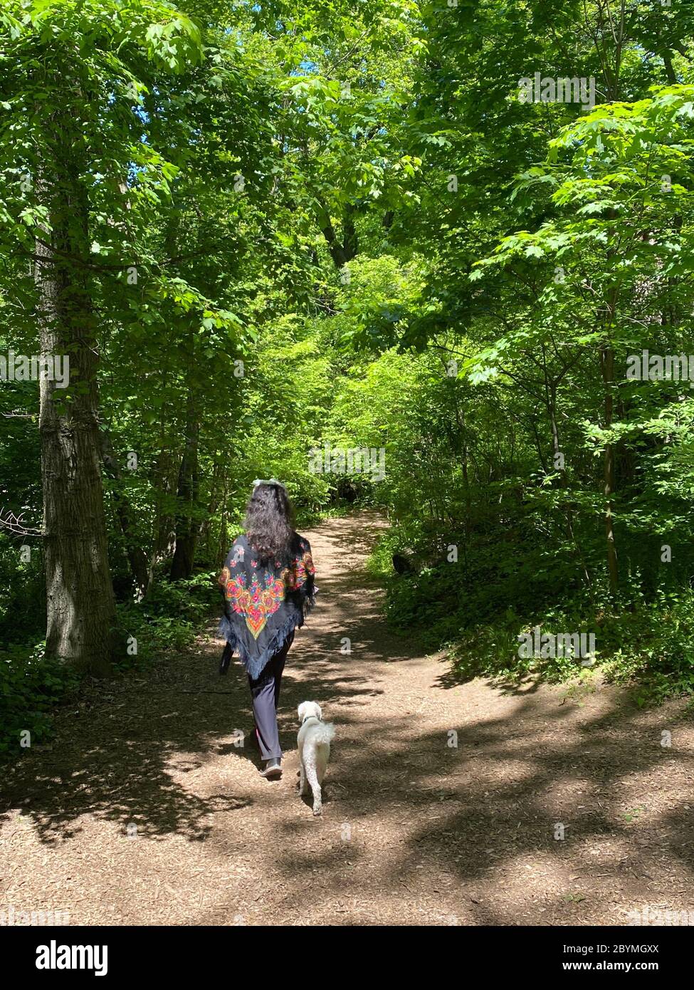 Donna cammina il suo cane da solo lungo un sentiero nel Prospect Park a Brooklyn New York in una giornata di primavera brillante. Foto Stock
