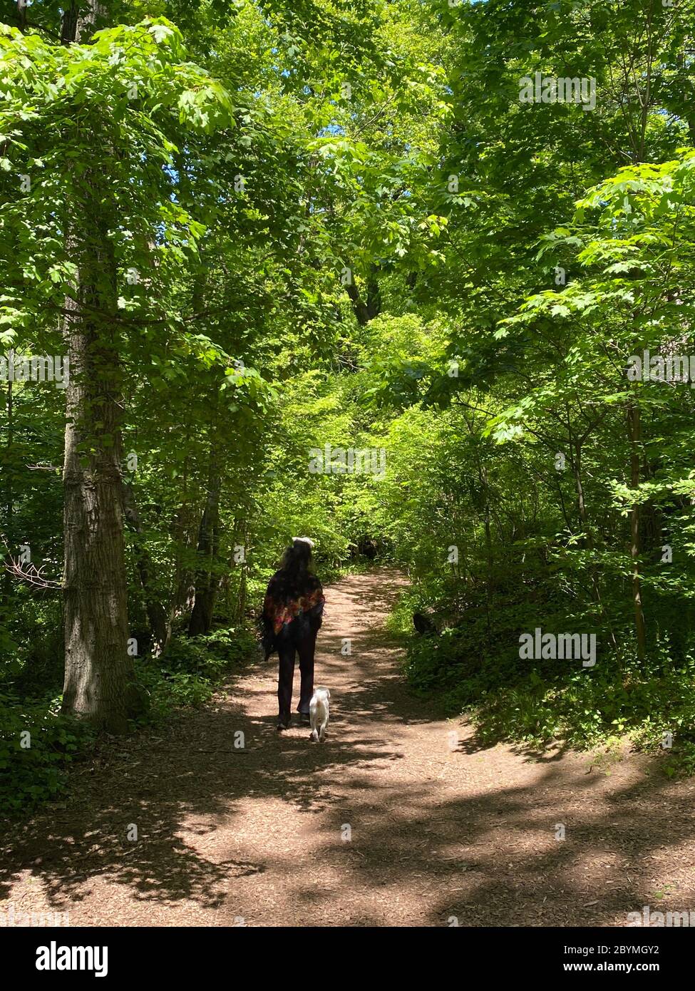 Donna cammina il suo cane da solo lungo un sentiero nel Prospect Park a Brooklyn New York in una giornata di primavera brillante. Foto Stock