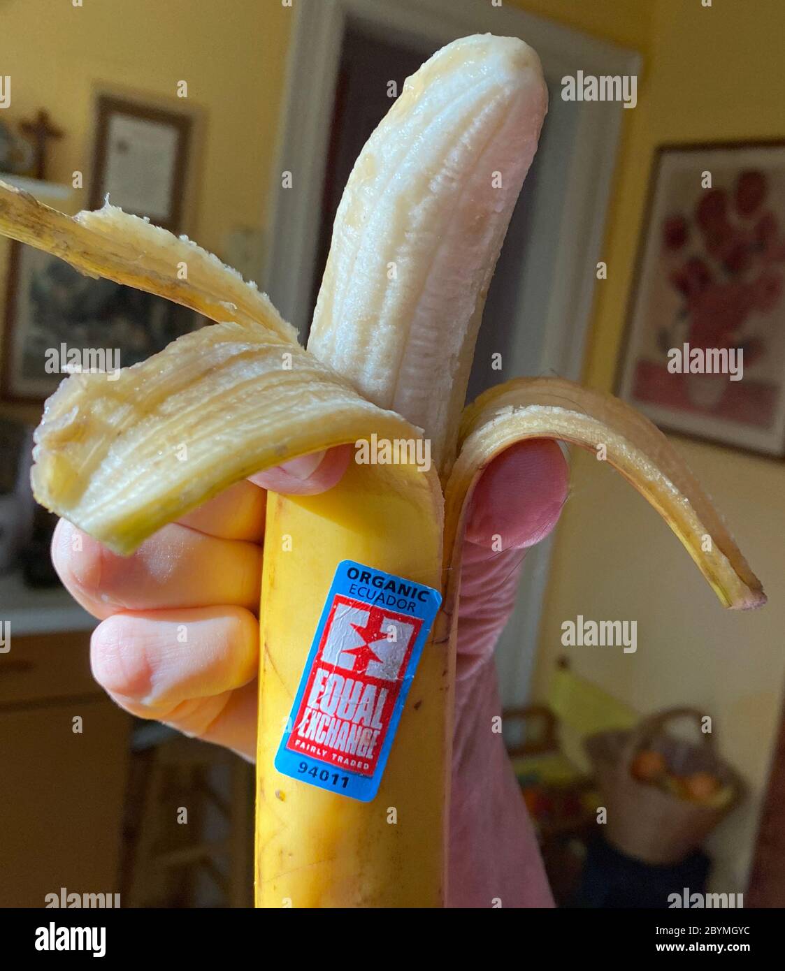 Banane del commercio equo e solidale dall'Ecuador a Brooklyn, New York. Foto Stock