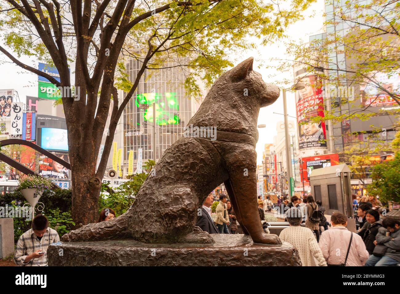 Hachiko cane statua al di fuori della stazione di Shibuya, Tokyo, Giappone Foto Stock