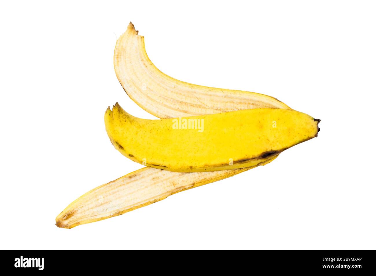 cavendish banana isolato su sfondo Foto Stock