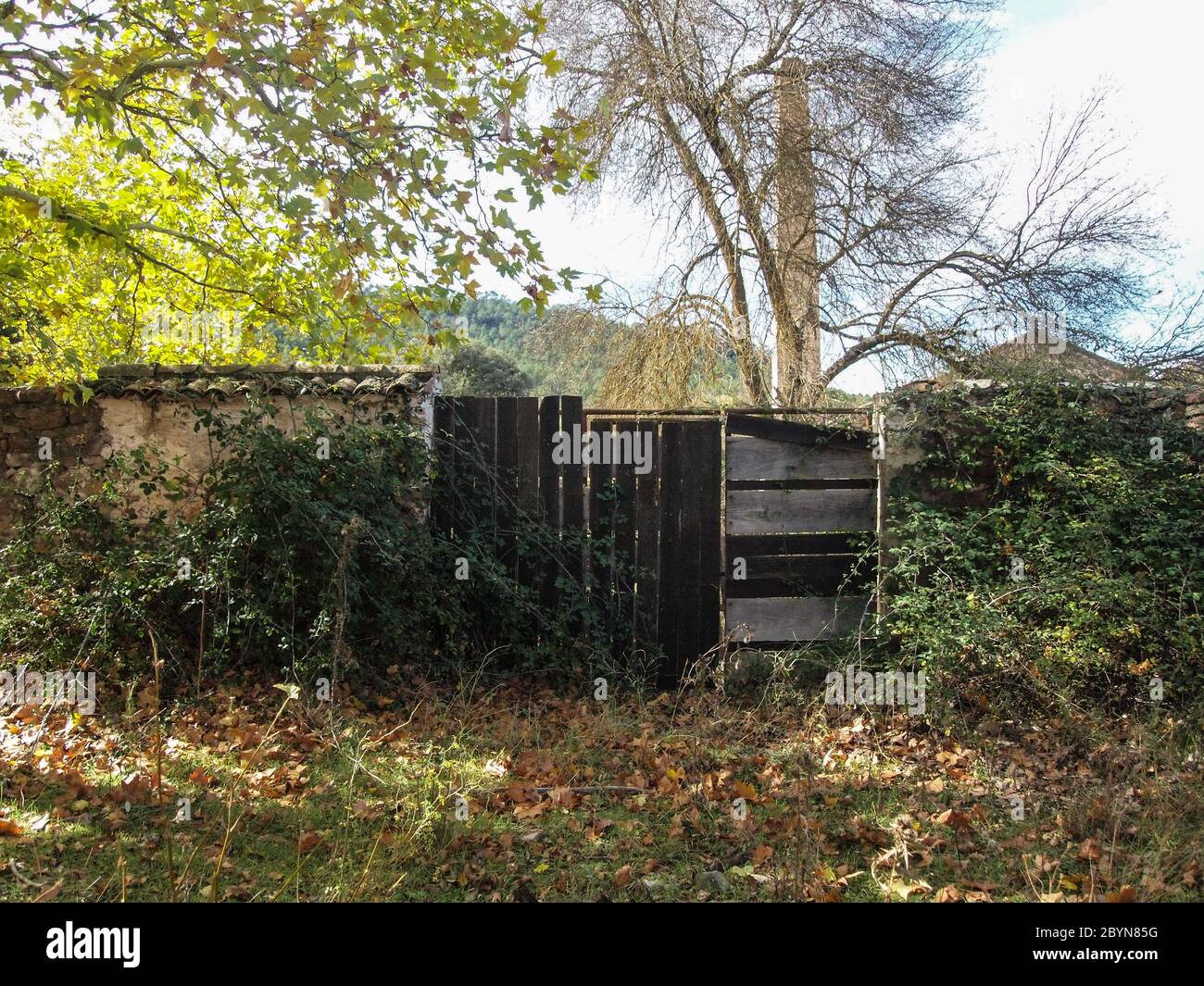 una casa abbandonata nel mezzo della foresta Foto Stock