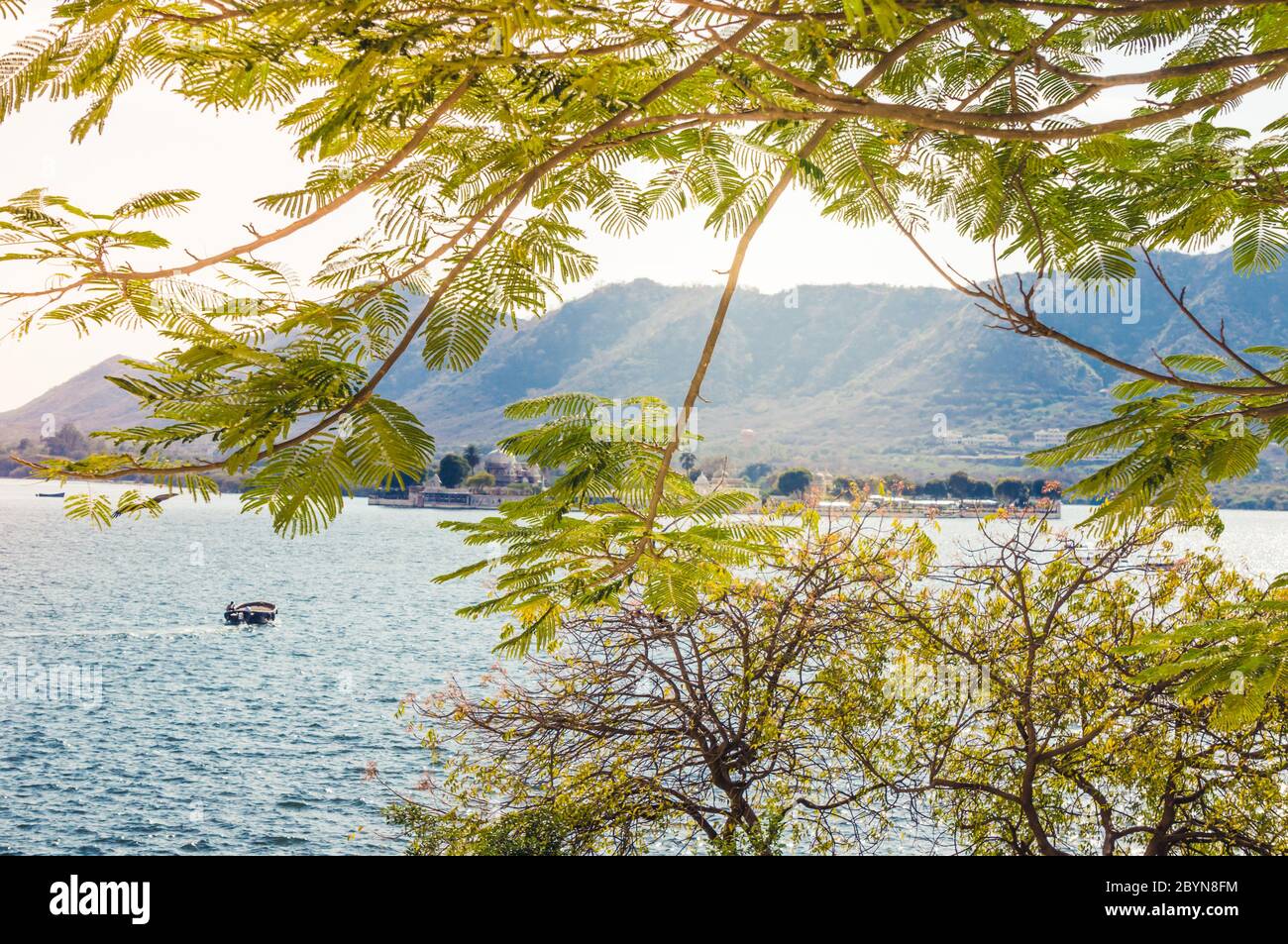 Bella vista del lago Fateh Sagar a Udaipur, India con albero fogliame in primo piano. Soleggiata e calda. Foto Stock