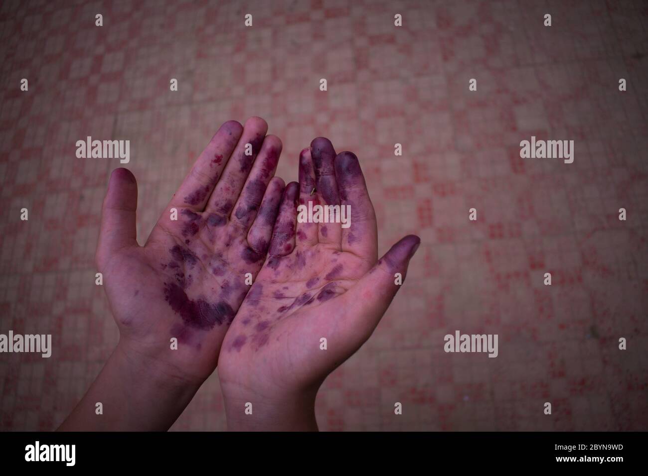 Mani colorate con succo di frutti di gelso. Colore frutti di bosco. Vernice sulle mani. Mani di coltivatore Foto Stock