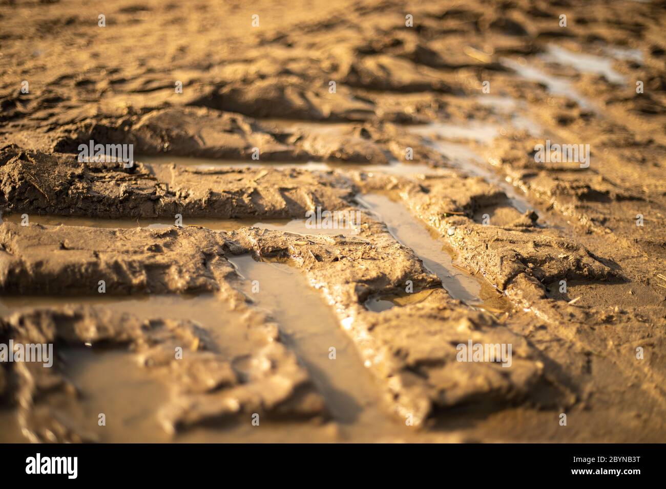 I cingoli del trattore nel fango Foto Stock
