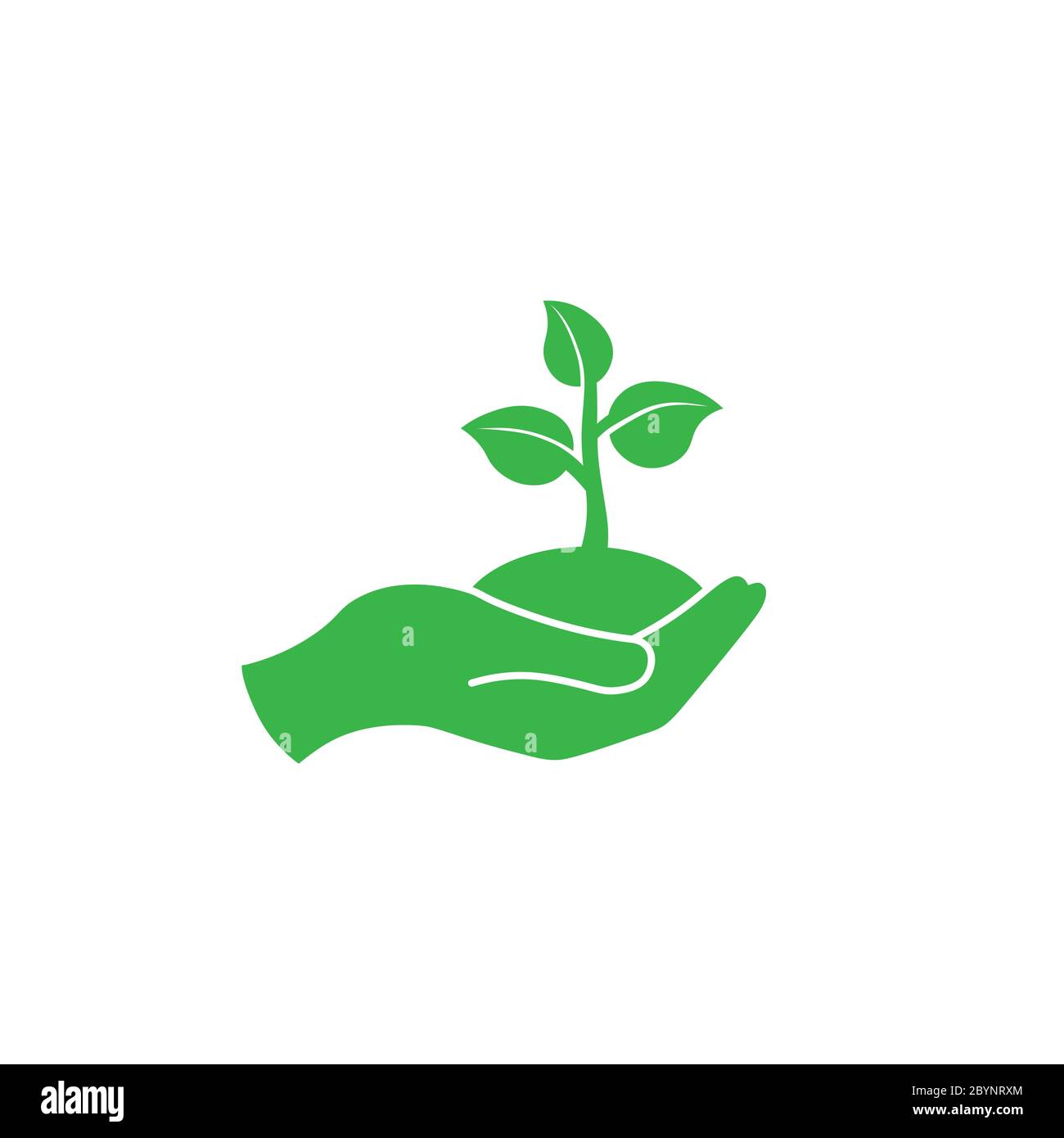 Mano che tiene i giovani pianta con le foglie o palma con germoglio, icona di ecologia in verde su uno sfondo bianco isolato. Vettore EPS 10. Illustrazione Vettoriale