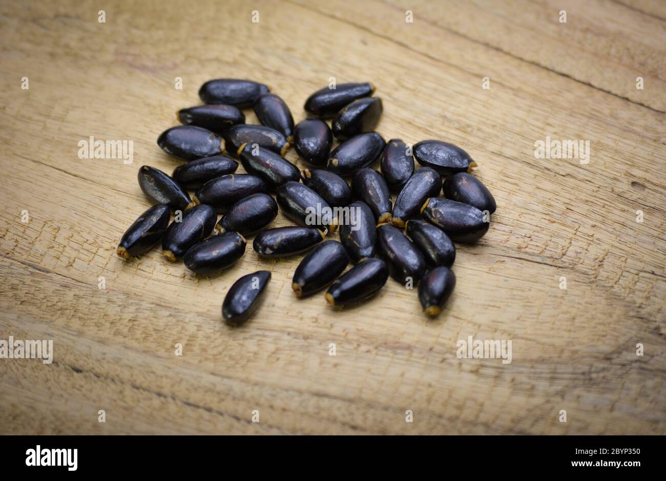 Semi di mela custode su sfondo di legno Foto Stock