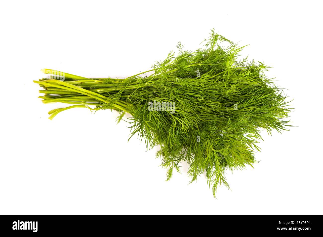 Rami freschi di aneto verde isolato Foto Stock