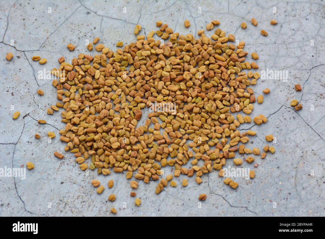 Semi di fenugreek su fondo di struttura di calcestruzzo fessurato Foto Stock
