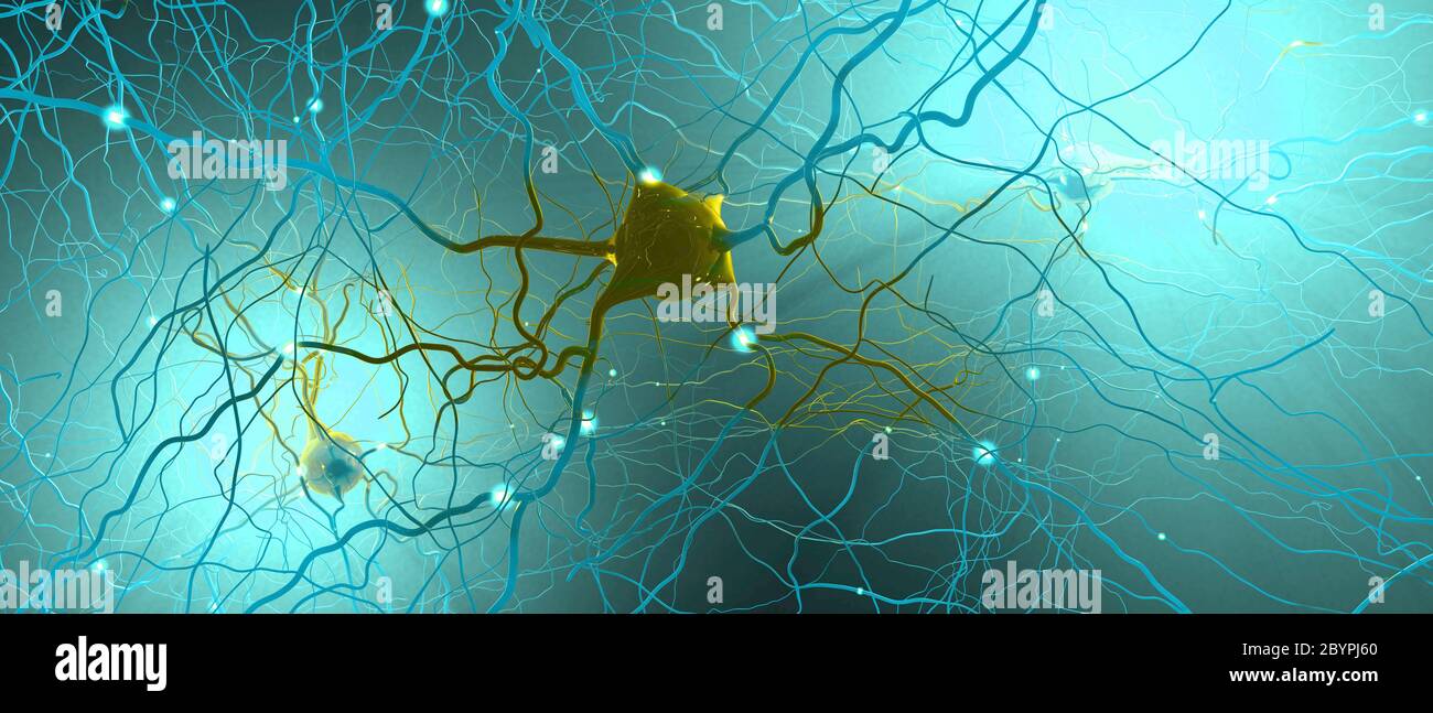 Neuroni o cellule nervose di trasmissione del segnale - illustrazione 3d Foto Stock