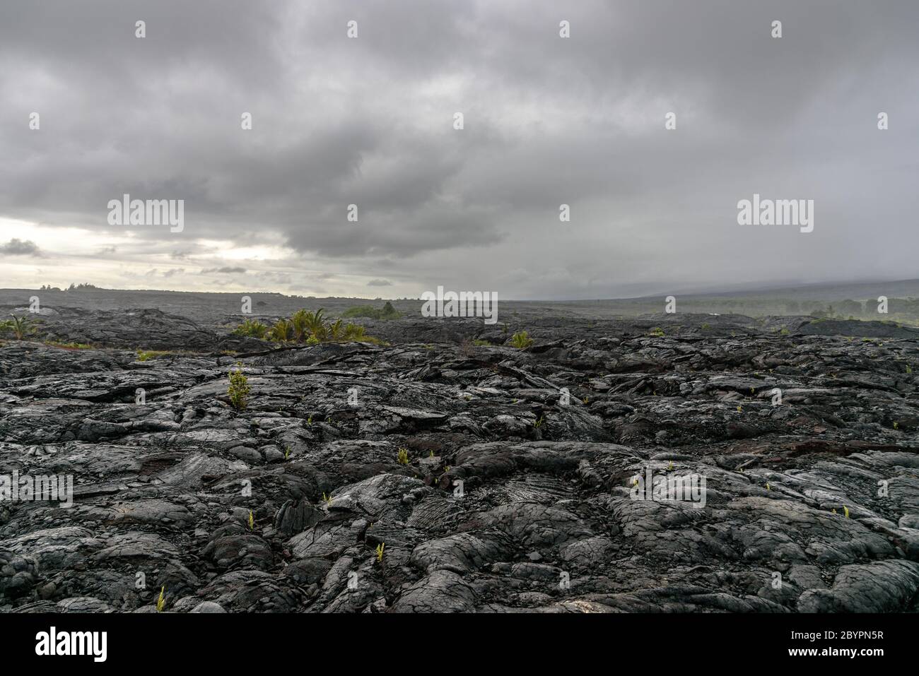 Il flusso di lava sul modo Kalapana Beach, Hawaii Foto Stock