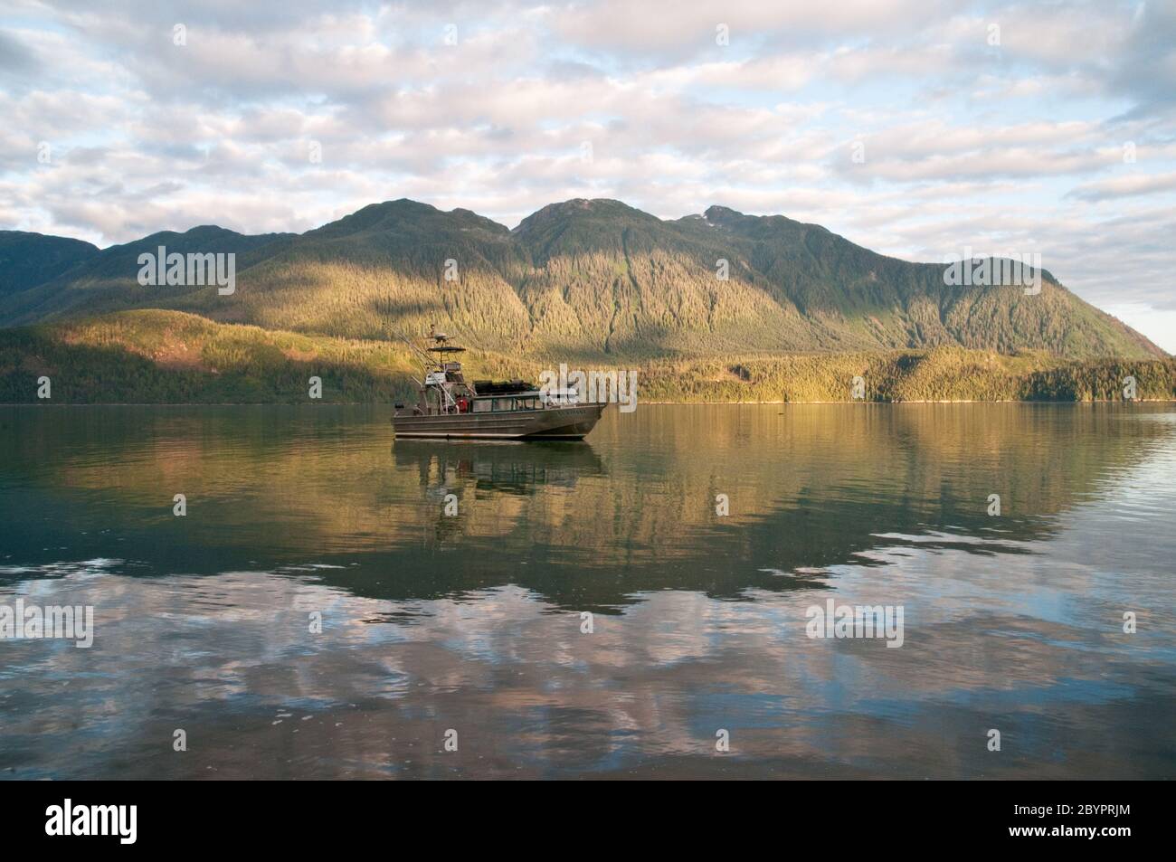 Una motoscafo di 40 piedi ancorata in una tranquilla insenatura dell'oceano pacifico nella Great Bear Rainforest, costa centrale, vicino a Bella Coola, British Columbia, Canada. Foto Stock