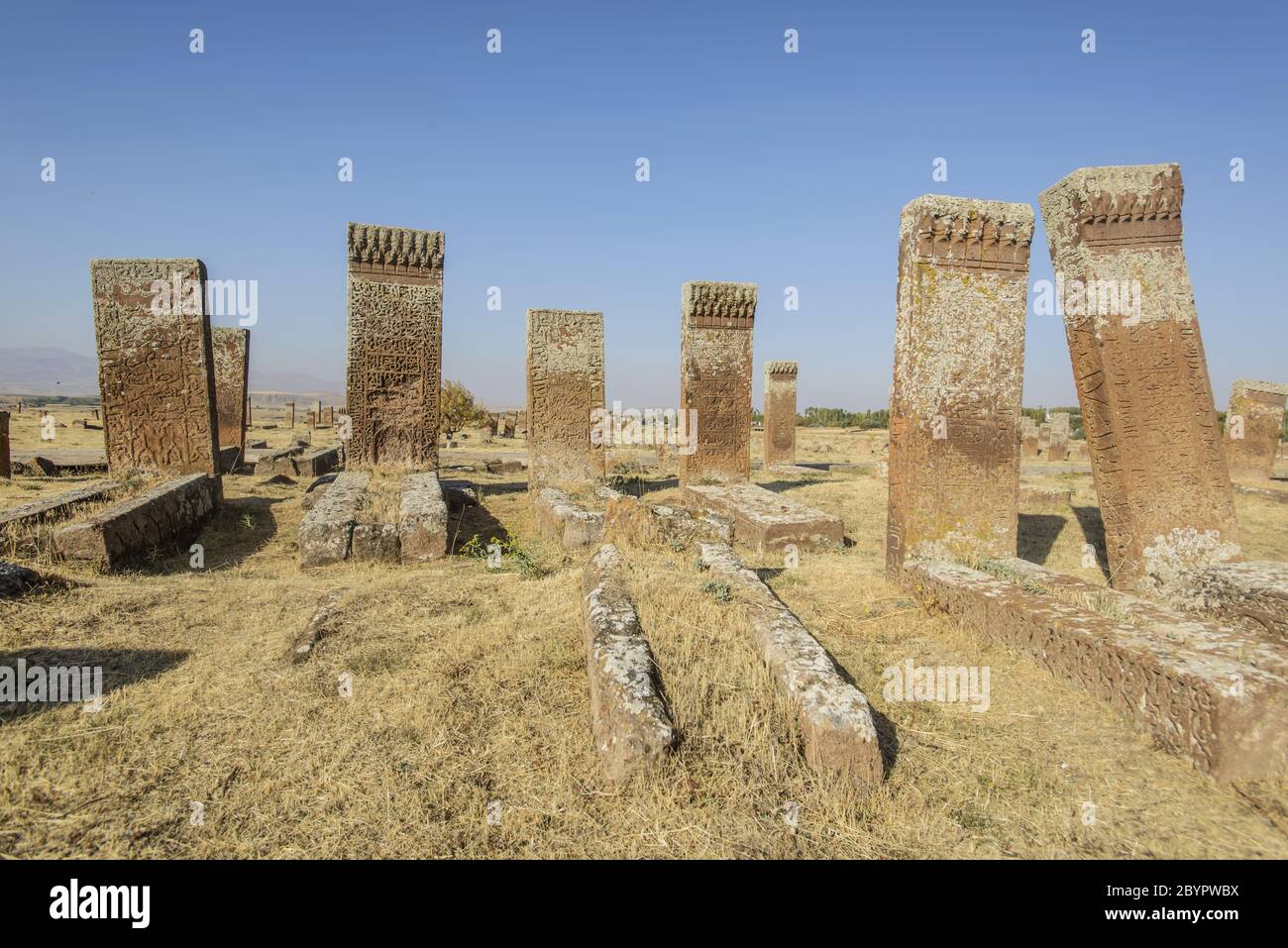 Lapidi di selgiuchi in turchia Ahlat Foto Stock