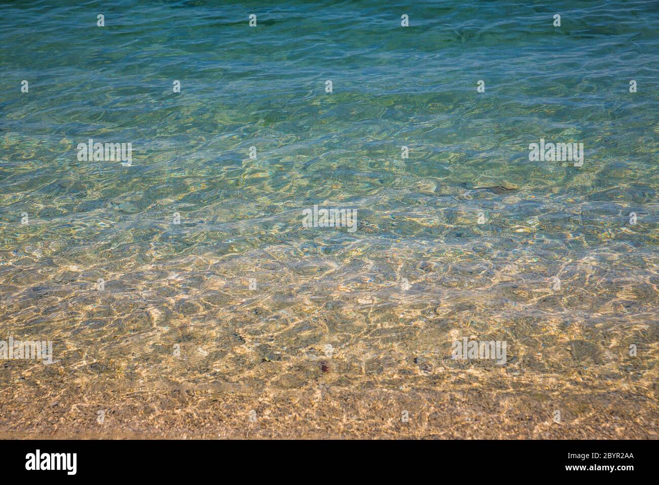 Primo piano grida di mare limpido e leggermente ondulato in una giornata estiva Foto Stock