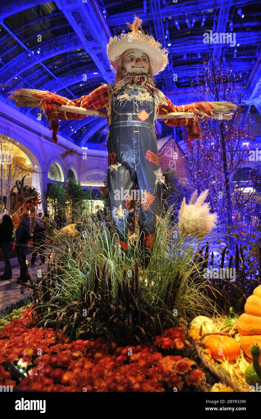 Bellagio Hotel Las Vegas 146 Hotel e luoghi più importanti a Las Vegas il posto più bello di Las Vegas Foto Stock