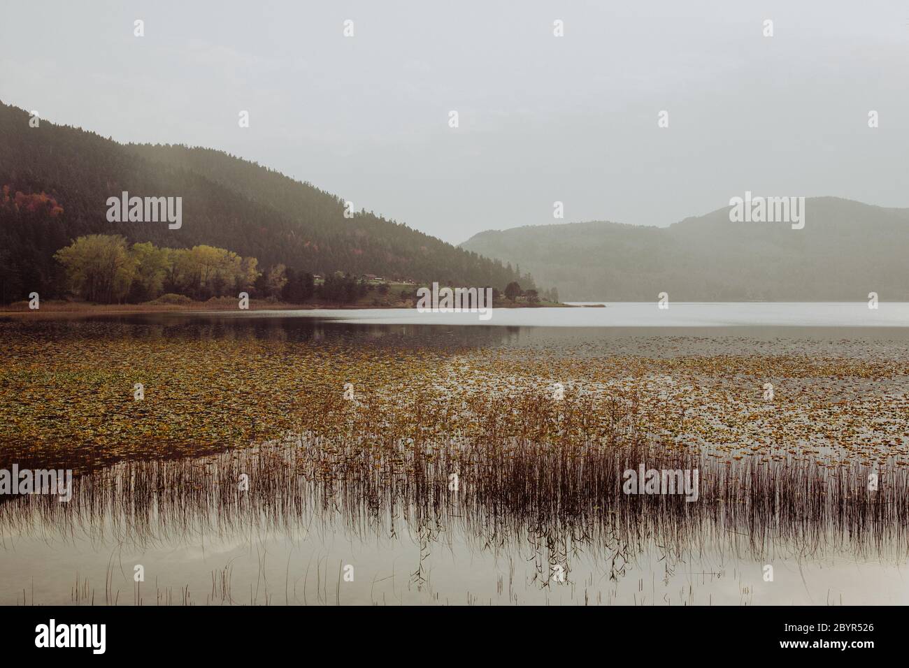 Splendido paesaggio in autunno con montagna, alberi e canne che si riflettono su un lago calmo come uno specchio, riflessione sul Lago Abant, Bolu, TURCHIA Foto Stock