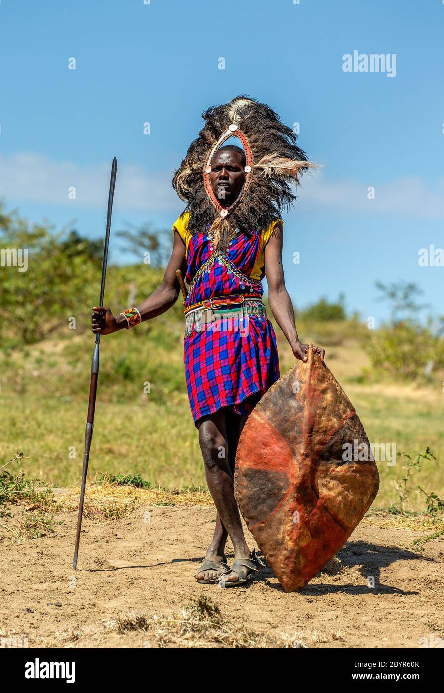 Il guerriero Masai sta in piedi in abiti tradizionali in un headdress del guerriero con una lancia e uno scudo contro lo sfondo di una tipica savana africana. Foto Stock