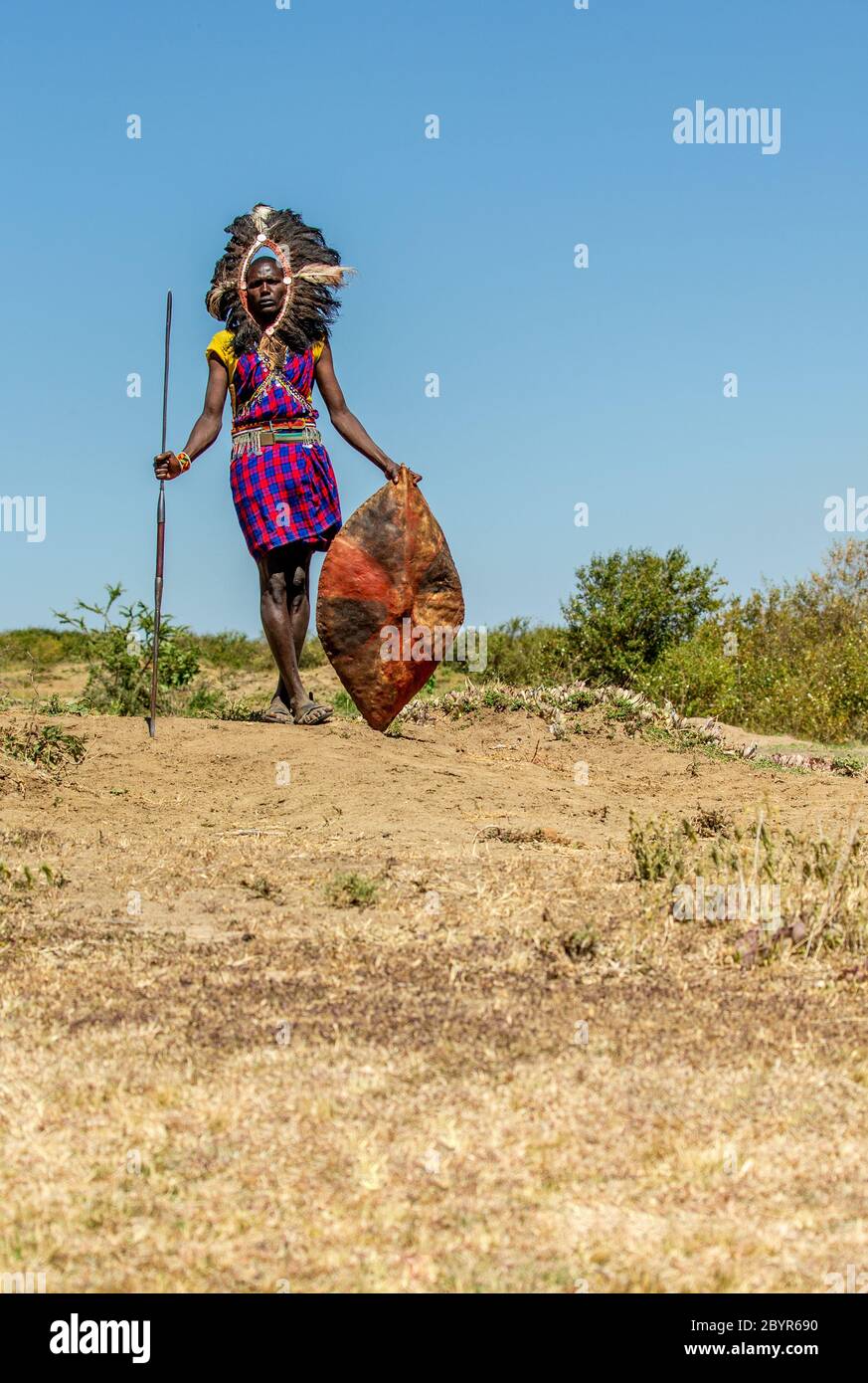 Il guerriero Masai sta in piedi in abiti tradizionali in un headdress del guerriero con una lancia e uno scudo contro lo sfondo di una tipica savana africana. Foto Stock