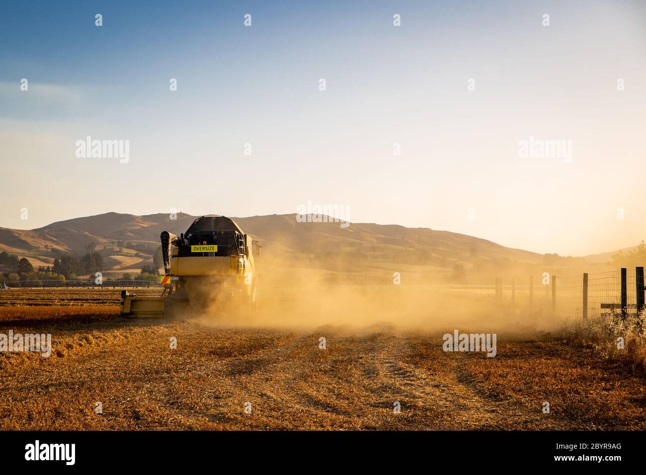 Sheffield, Canterbury, Nuova Zelanda, febbraio 10 2020: Una mietitrebbia gialla CR980 New Holland al lavoro in un campo di piselli coltivati per semi Foto Stock