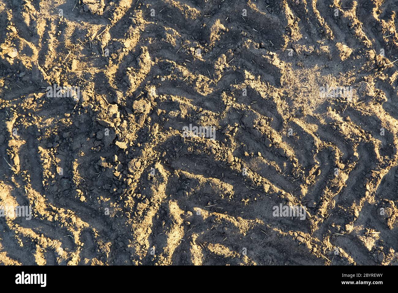 Cingoli dell'escavatore sulla struttura del terreno. Fango terra terra tracce tracce tracce tracce segni superficie secca texture. Foto Stock