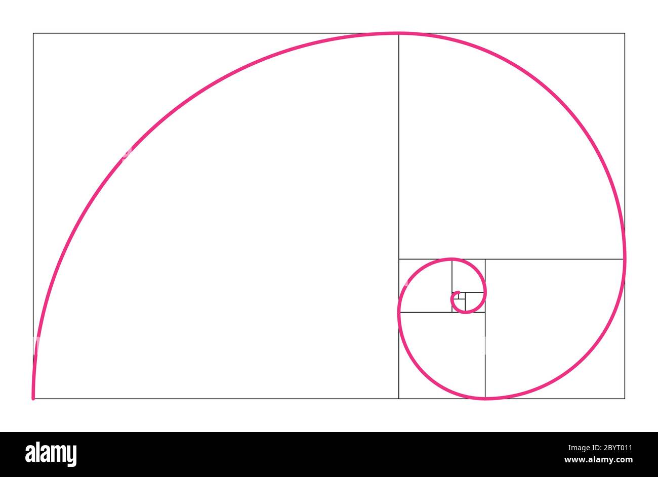 Concetto geometrico del rapporto d'oro. Spirale rosa Fibonacci. Illustrazione vettoriale. Illustrazione Vettoriale