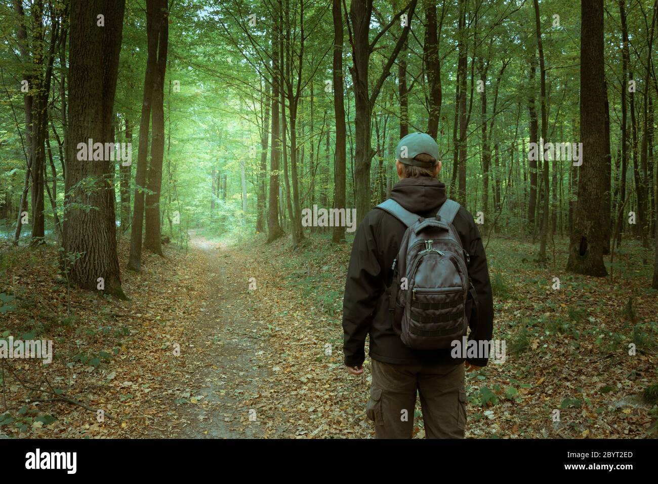 Il viaggiatore cammina su un sentiero forestale, freddo vista estiva Foto Stock
