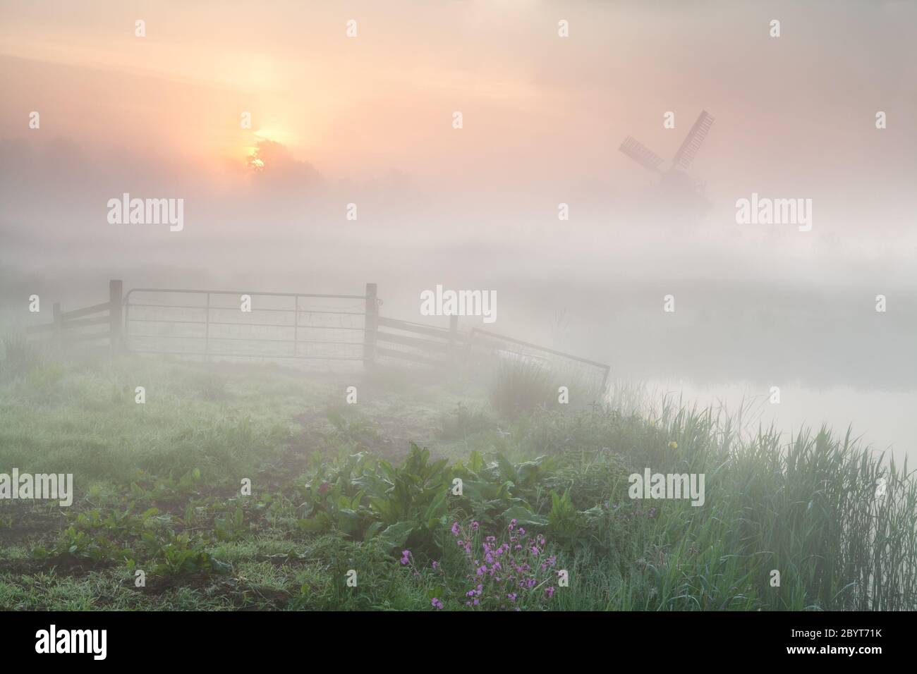 aureo nebby alba su terreni agricoli olandesi con vento Foto Stock