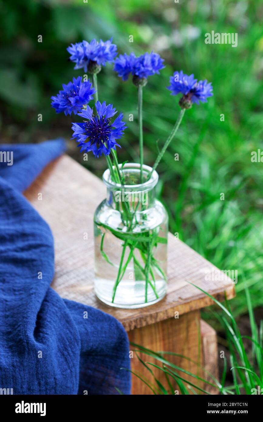Ancora vita di fiori di mais blu in un vaso di vetro e drappeggi su uno sgabello di legno. Foto Stock