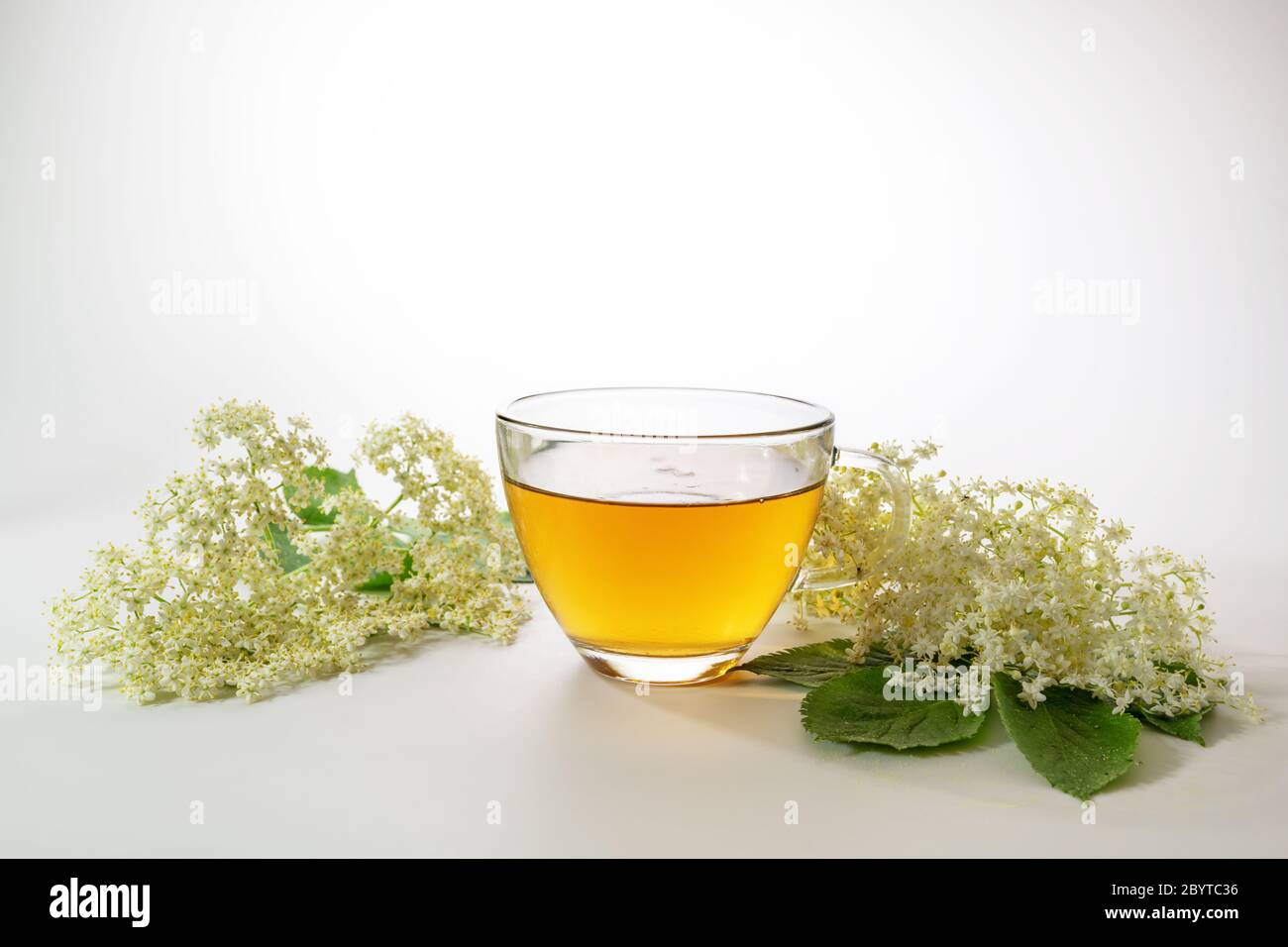 Tè dal fiore di Elderberry in una tazza di vetro e alcuni fiori freschi su uno sfondo grigio chiaro, rimedio domestico naturale per la pulizia del sangue e contro il freddo Foto Stock