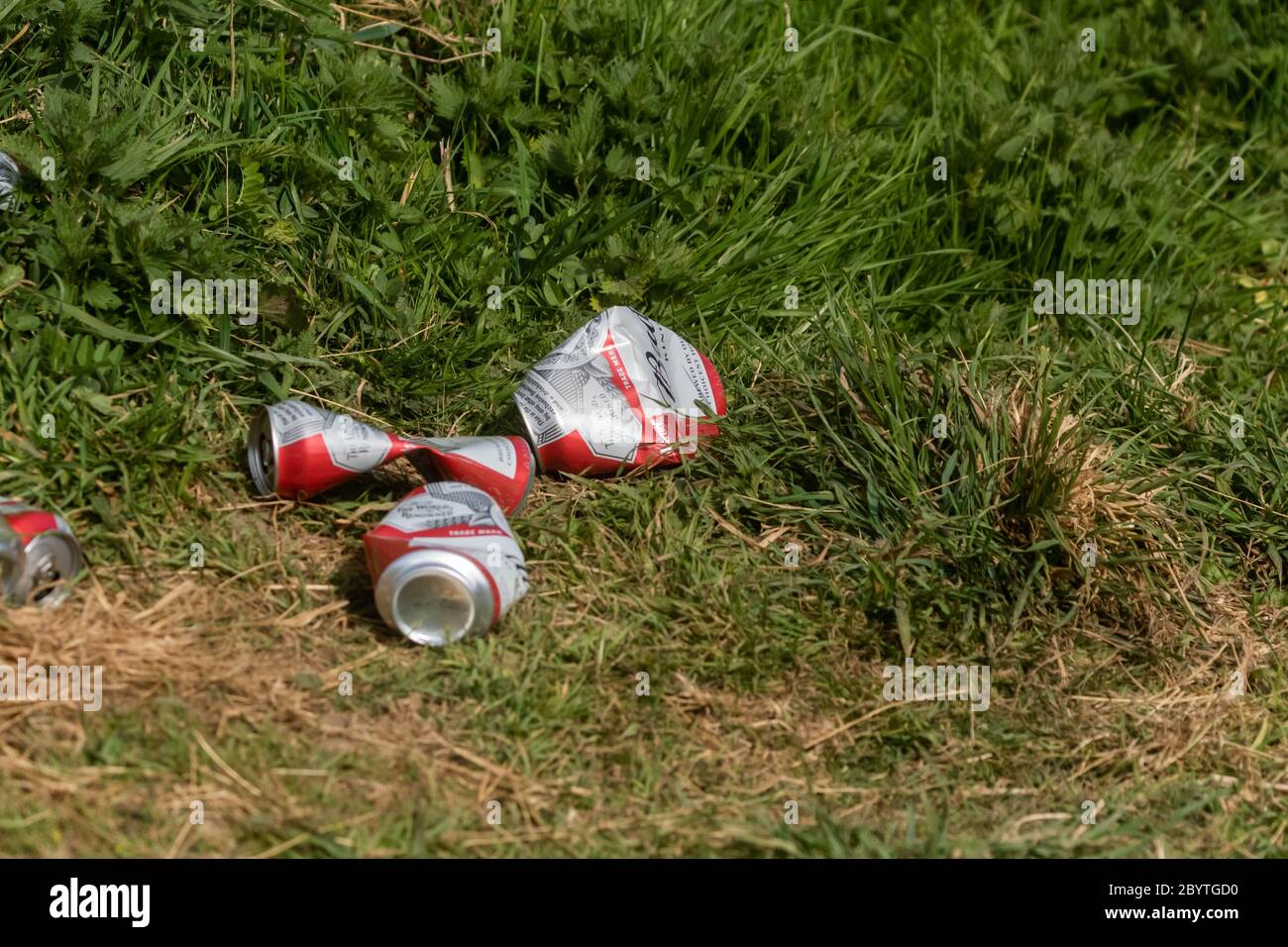 Lattine di bevanda schiacciate lasciate sull'erba come figliata. Foto Stock