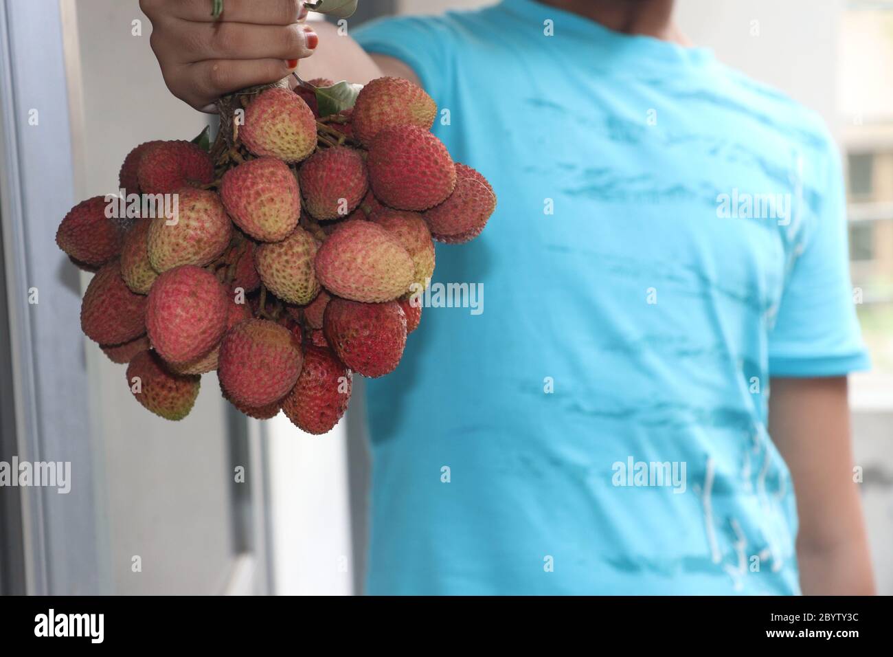 Fresco rosso litchi, lichee, lychee, o litchi è in condizione di sospensione isolato su sfondo colorato, primo piano fotografia Foto Stock