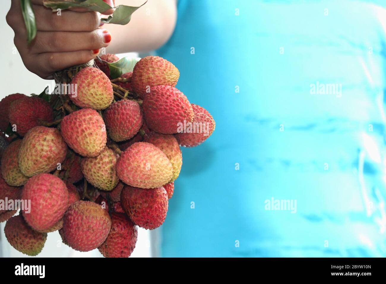 Litchi freschi con foglie set isolato su sfondo bianco come pacchetto di elementi di design Foto Stock
