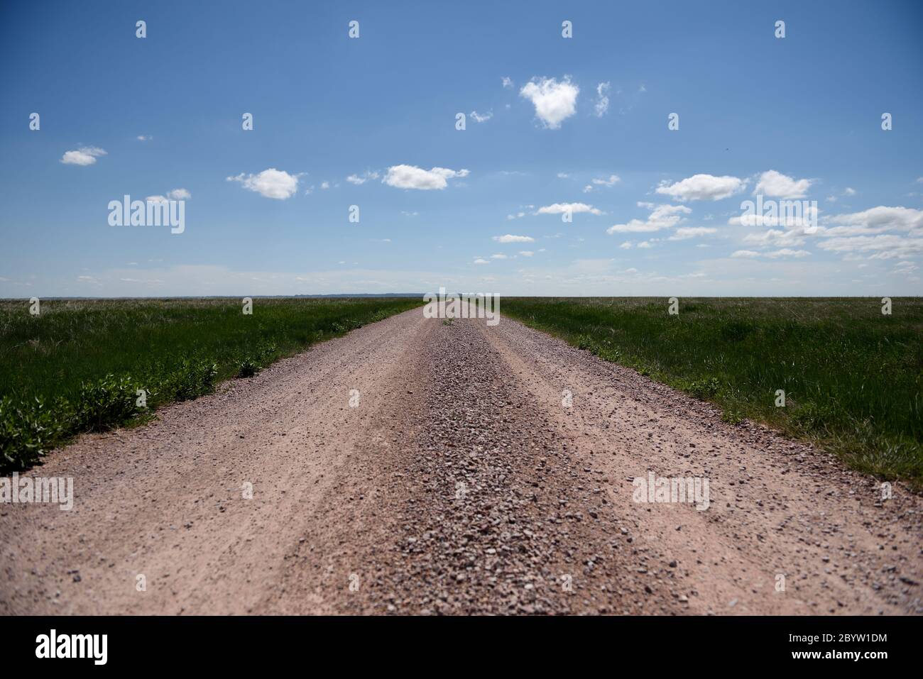 Una strada sterrata rurale deserta attraverso campi con cielo e nuvole che conducono all'orizzonte Foto Stock