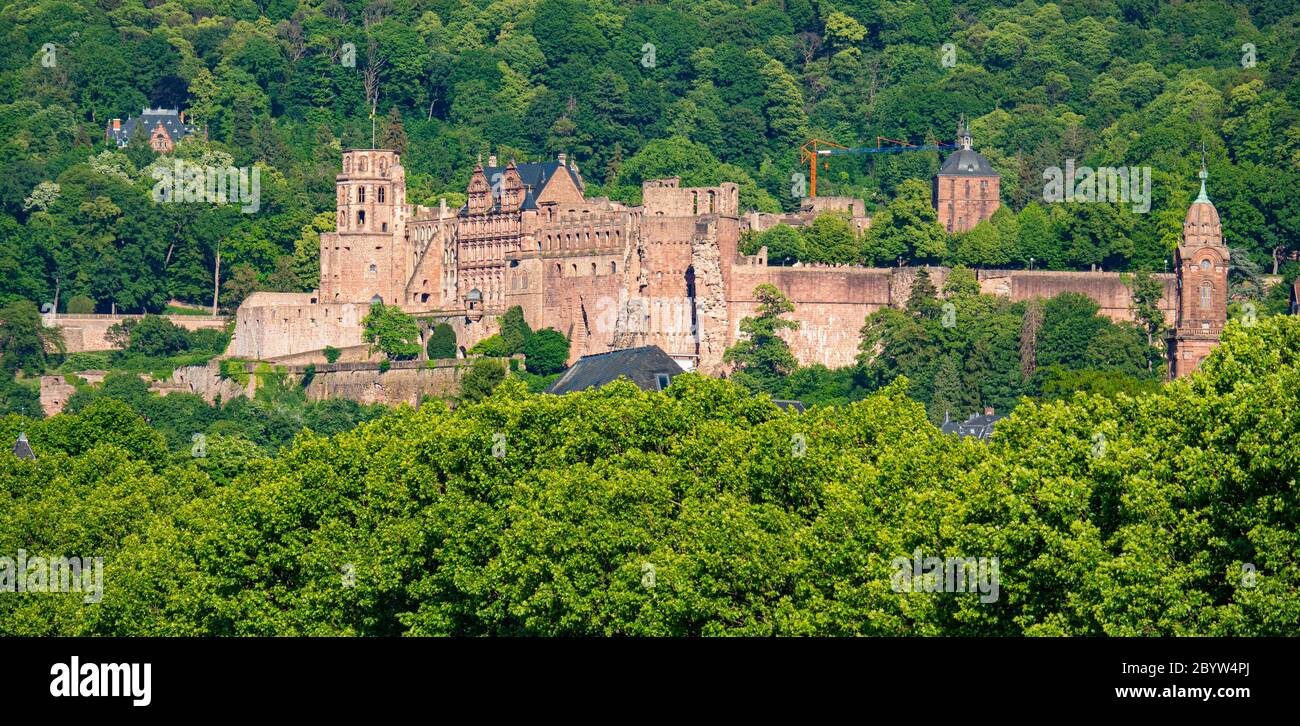 Castello di Heidelberg nella città tedesca di Heidelberg Foto Stock