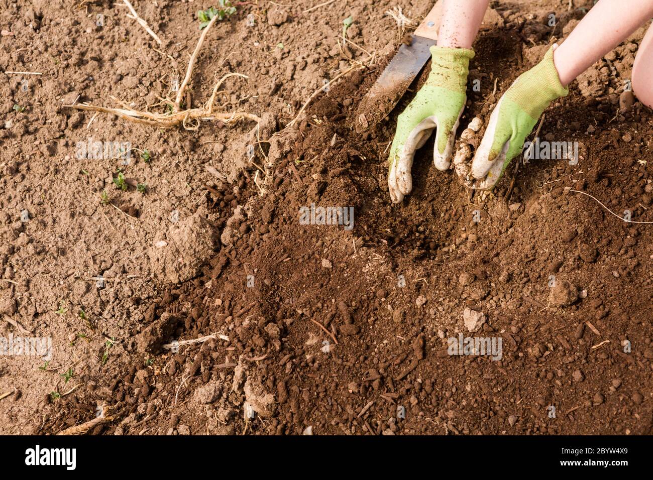 Giardino comunitario Foto Stock