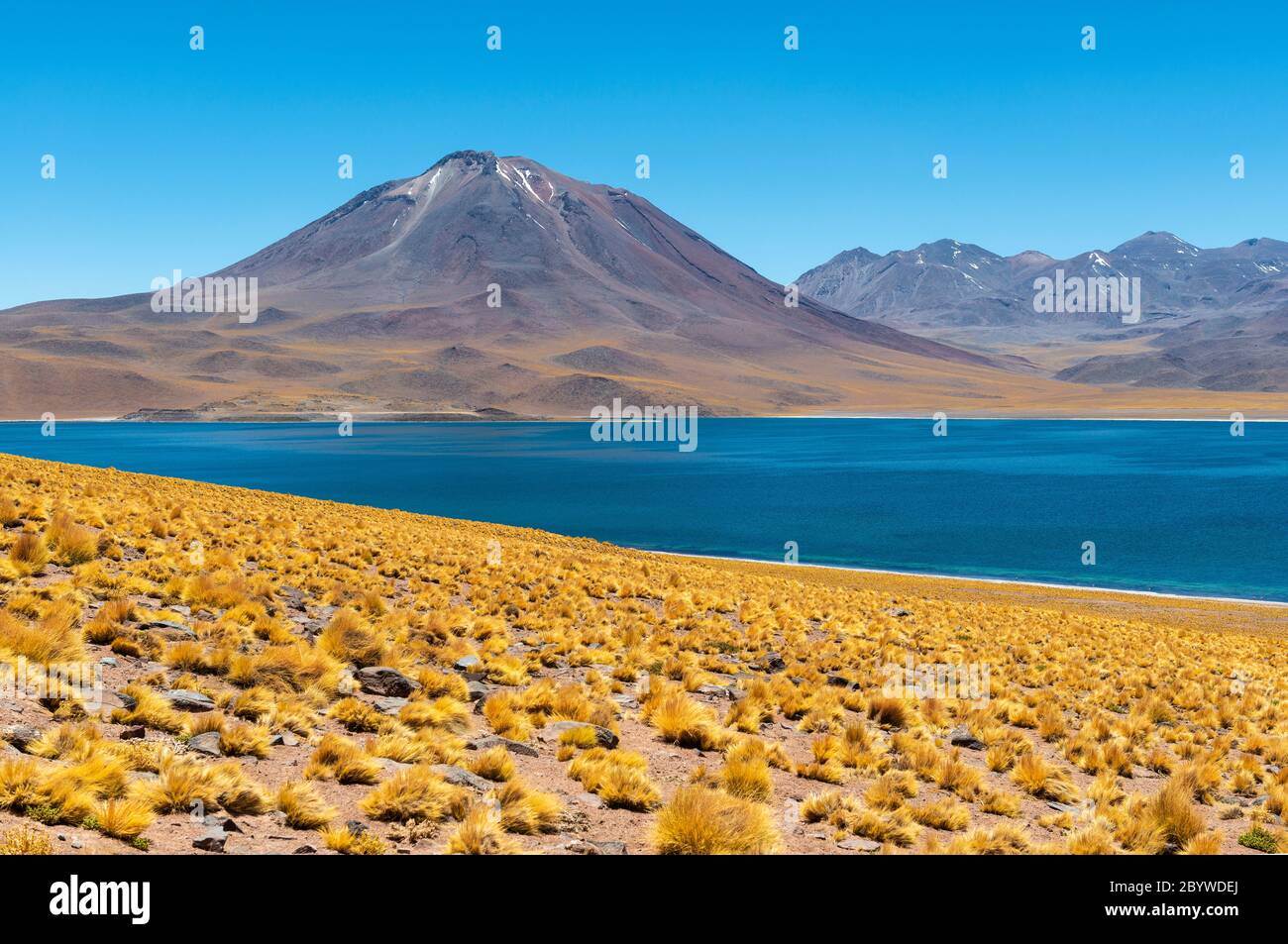 La Laguna di Miscanti nelle Ande, deserto di Atacama, Cile. Foto Stock
