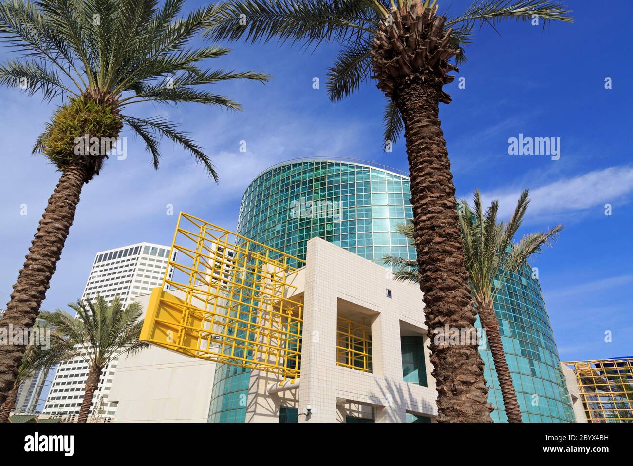 All'Acquario delle Americhe, New Orleans, Louisiana, Stati Uniti d'America Foto Stock