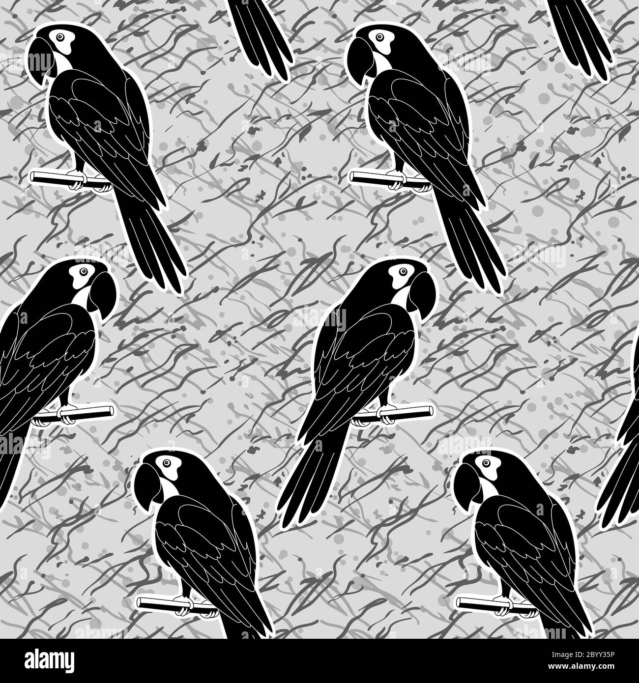 Seamless pattern, in bianco e nero pappagalli Foto Stock