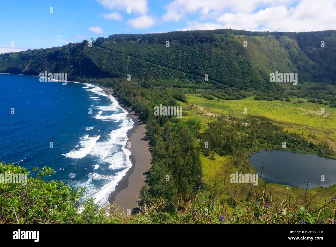 Incredibile paesaggio della Waipio Valley con scogliera di origine vulcanica nell'azzurro delle acque dell'oceano Pacifico con spiaggia di sabbia nera e valle con il ne residenziale Foto Stock