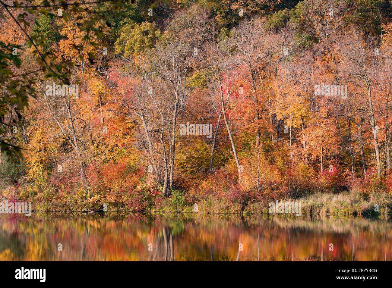 Riflessi di autunno Foto Stock
