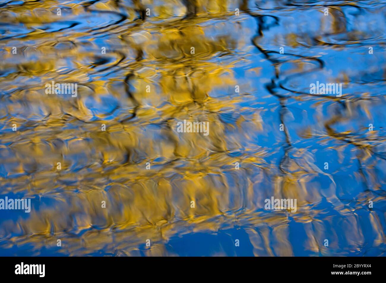 Riflessi di autunno Foto Stock