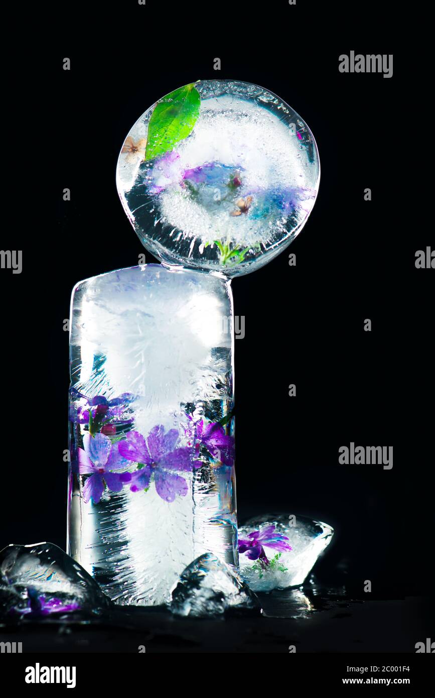 Scultura su ghiaccio con fiori surgelati, concetto di vita still invernale e primaverile Foto Stock Scultura su ghiaccio con fiori surgelati, concetto di vita still invernale e primaverile Foto Stock