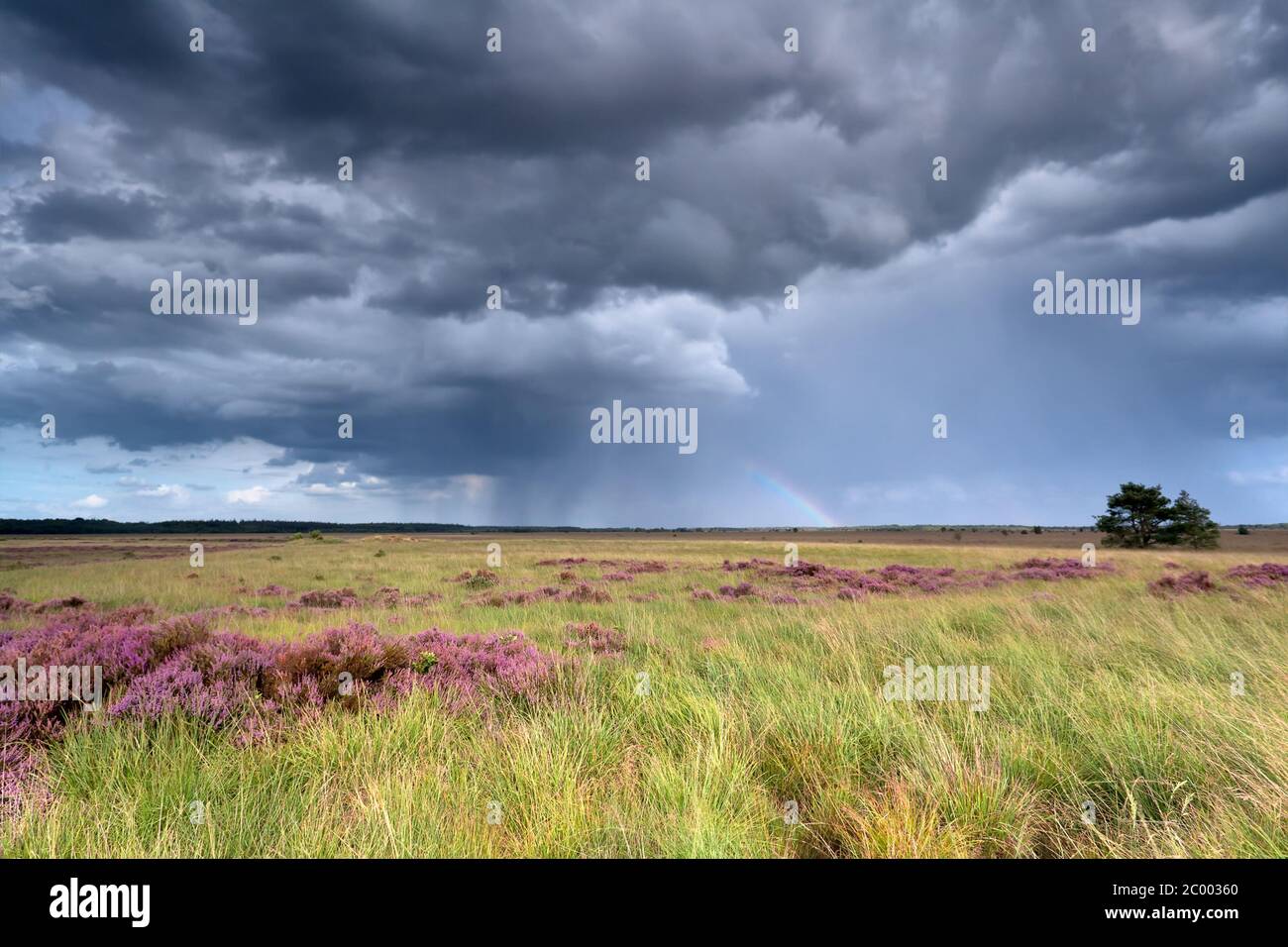 cielo tempestoso e arcobaleno sopra la terraferma Foto Stock