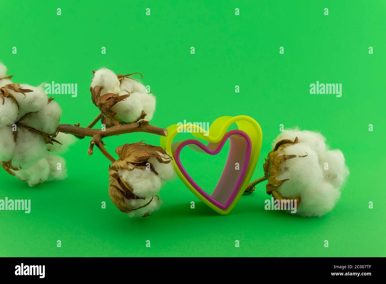 Concetto di anniversario del cotone con i tagliacini colorati a forma di cuore e i boli di cotone su sfondo verde Foto Stock