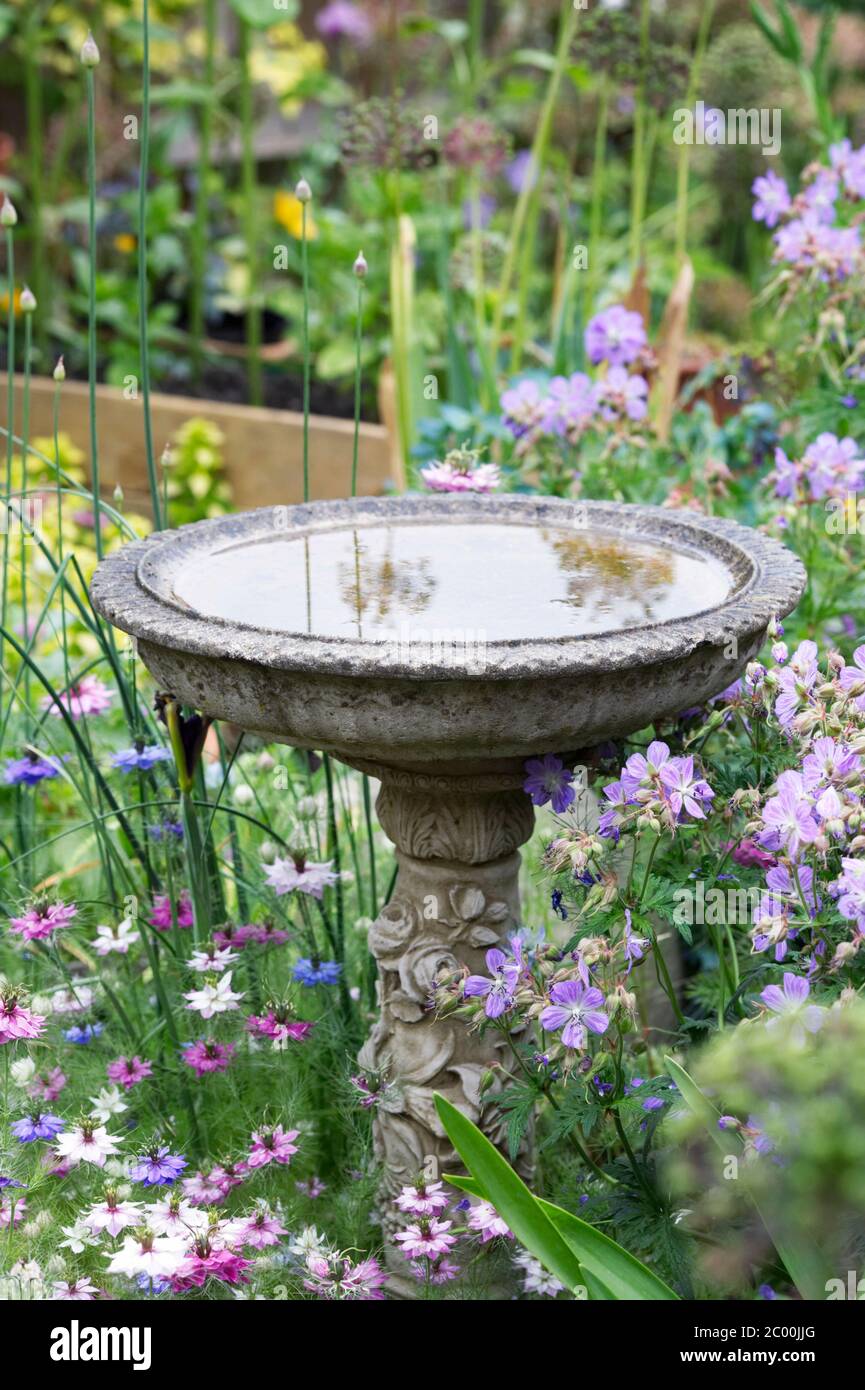 Bagno di uccelli in un giardino cottage. Foto Stock