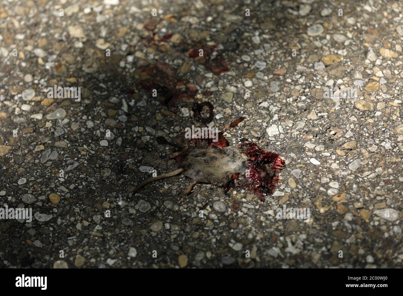 Topo morto Foto Stock