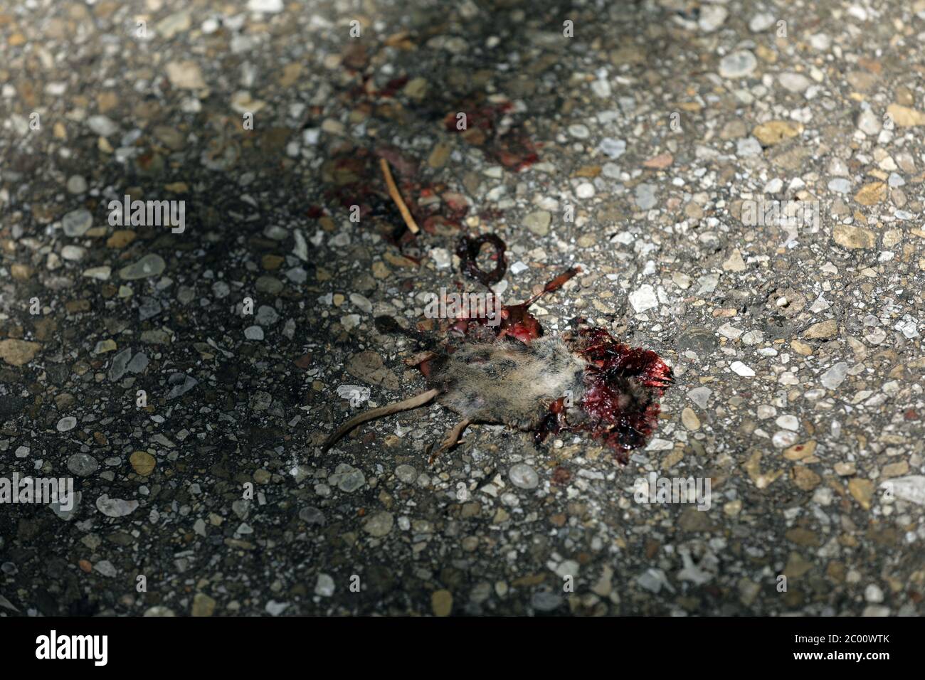 Topo morto Foto Stock