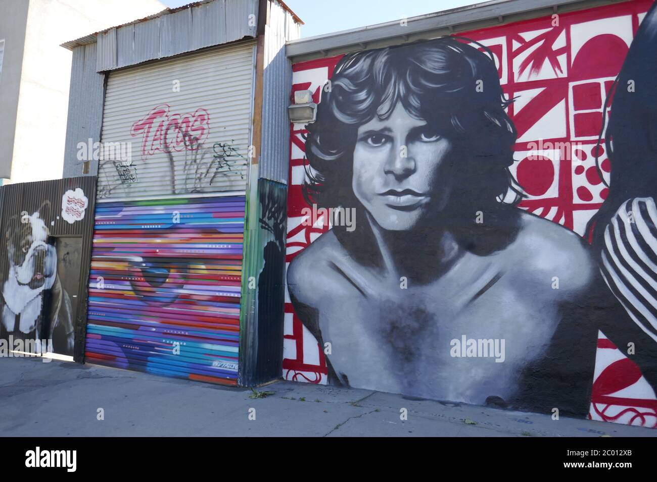 Venezia, California, USA 9 giugno 2020 una visione generale dell'Arte Murale di strada di Jim Morrison delle porte il 9 giugno 2020 a Venezia, California, USA. Foto di Barry King/Alamy Stock foto Foto Stock