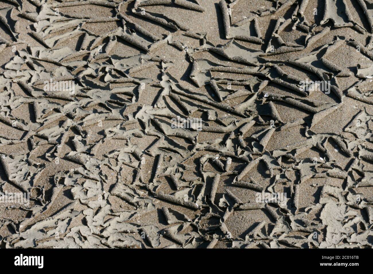 Struttura della superficie secca e disidratata della terra con crepe Foto Stock